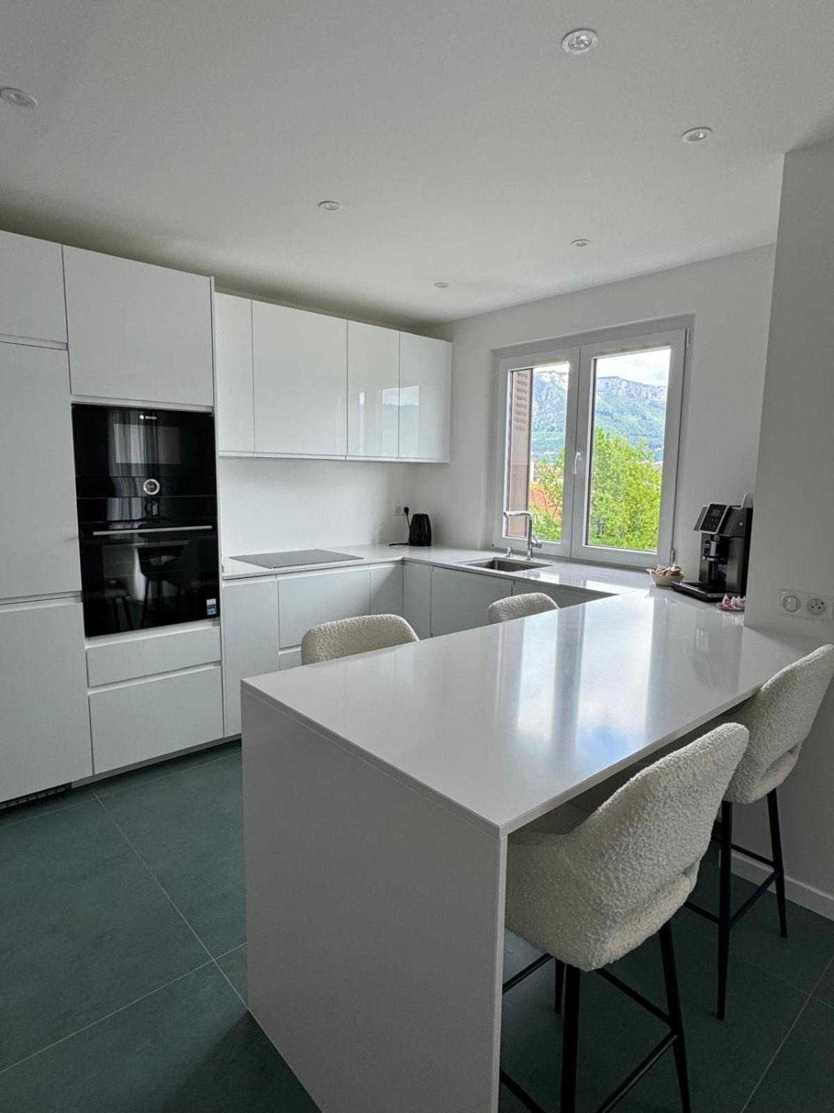 Modern Green & White - Apartments T3 60M2 Annecy - Parking Prive - Wifi - Netflix Buitenkant foto